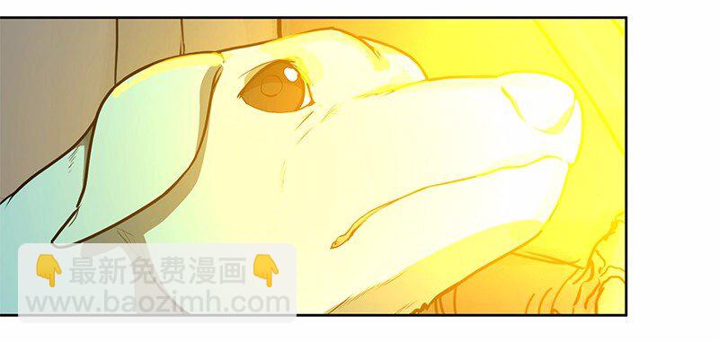 S1-19 第19话(1/2)-第19话