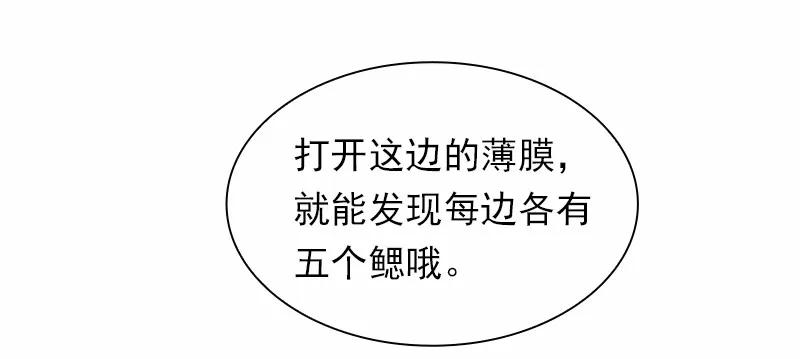 S1-86 第86话(1/2)-第89话