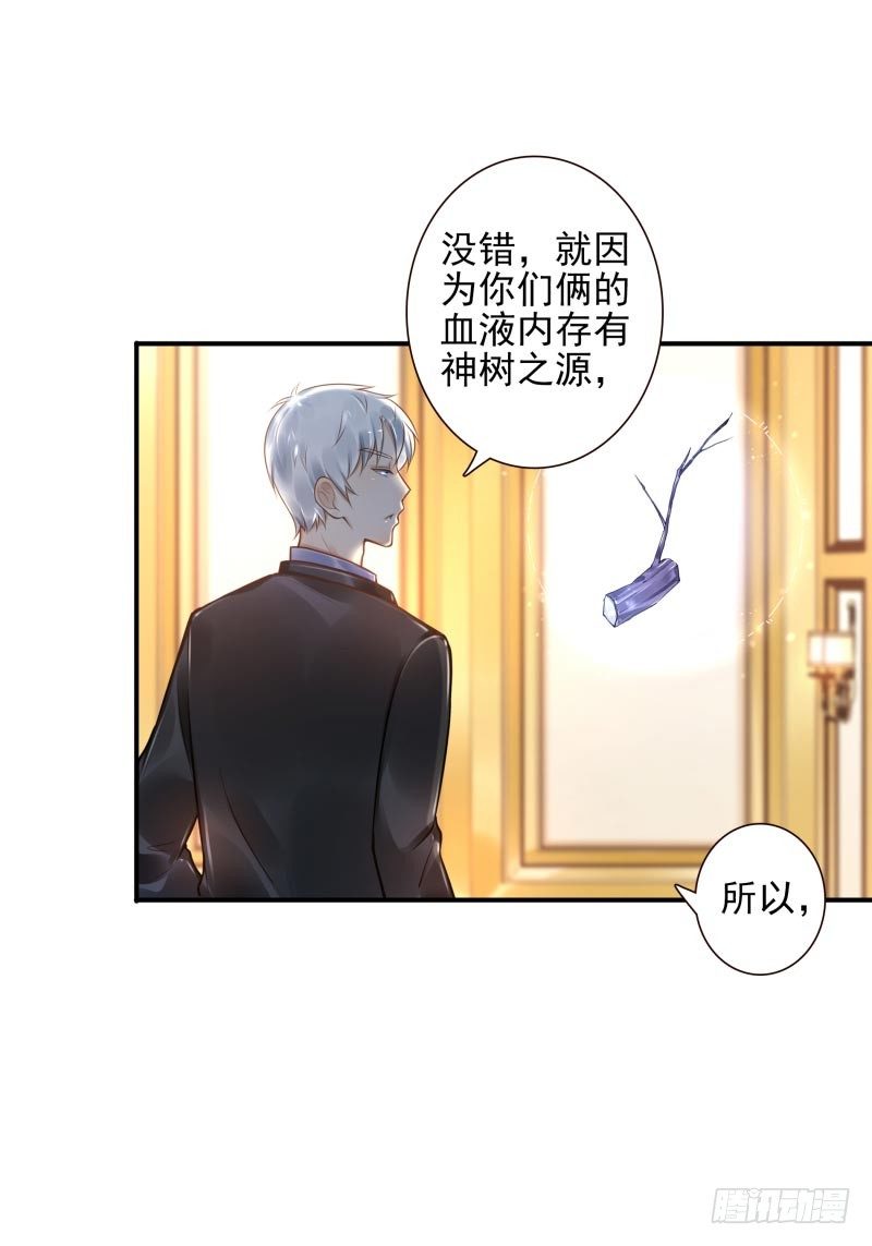 第33话：神树之源-第33话