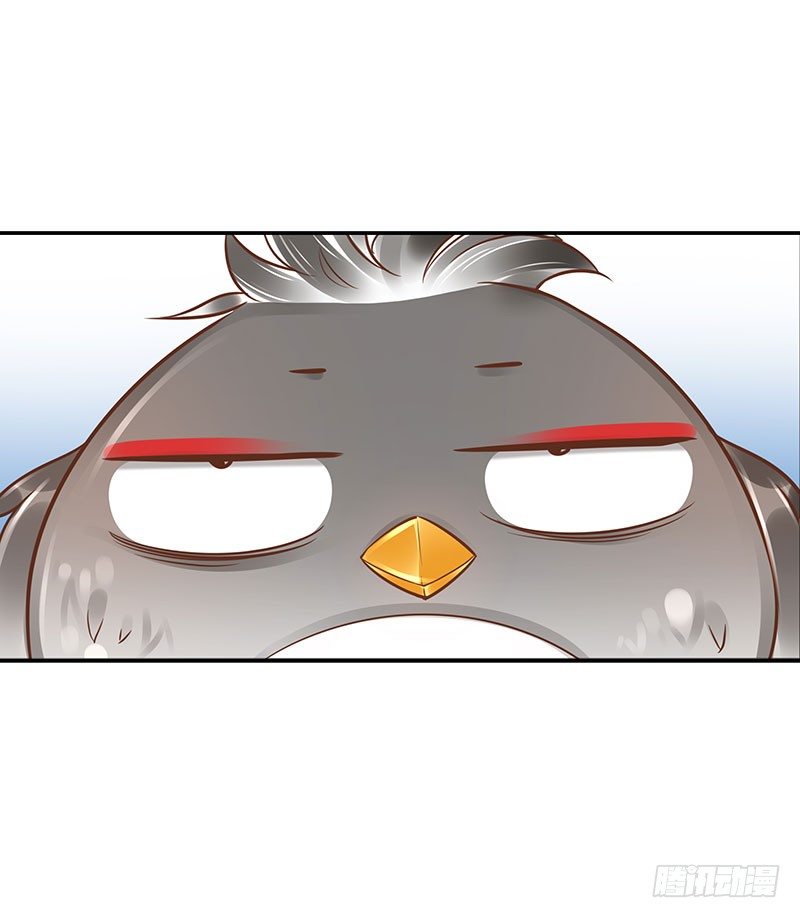 第37话：危波海港-第37话