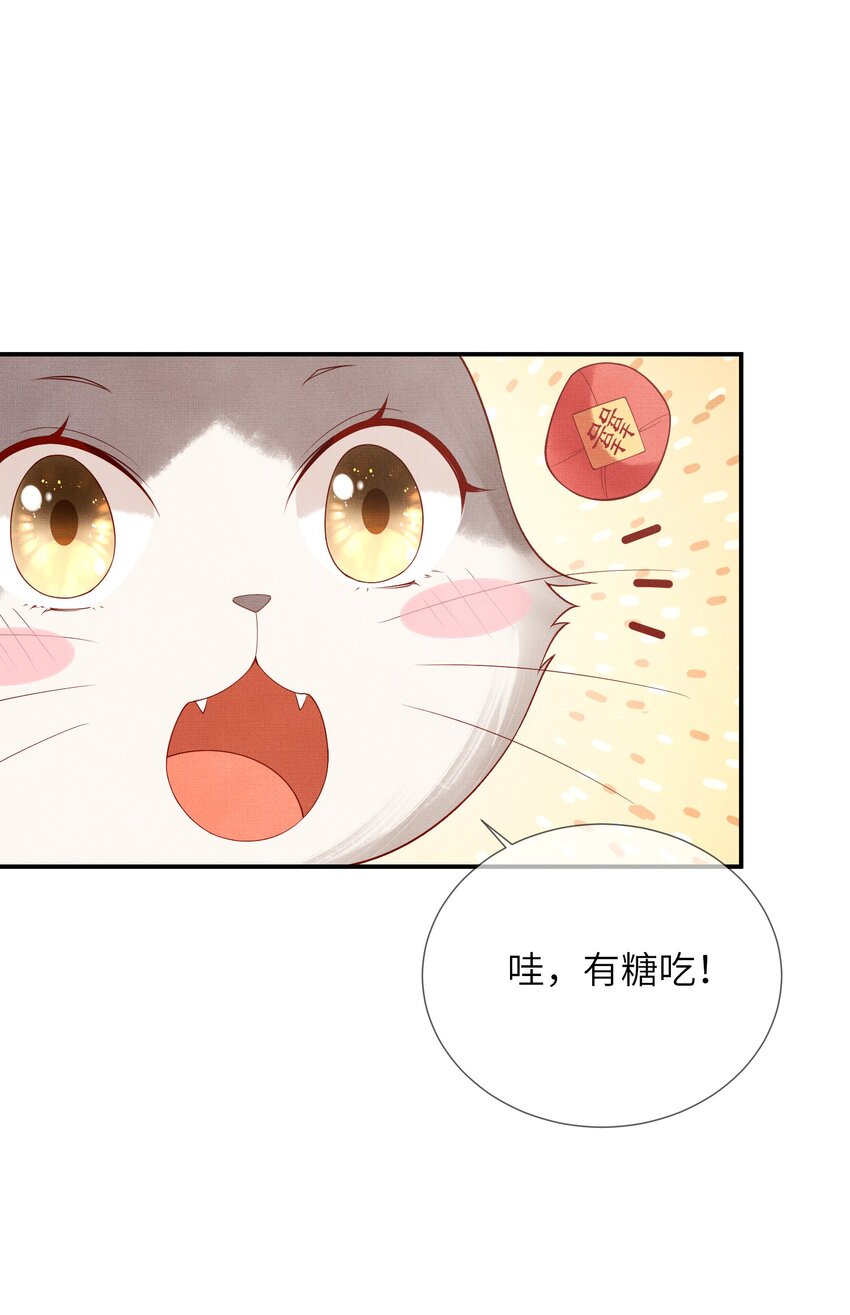 12 抢亲？！(1/2)-第15话