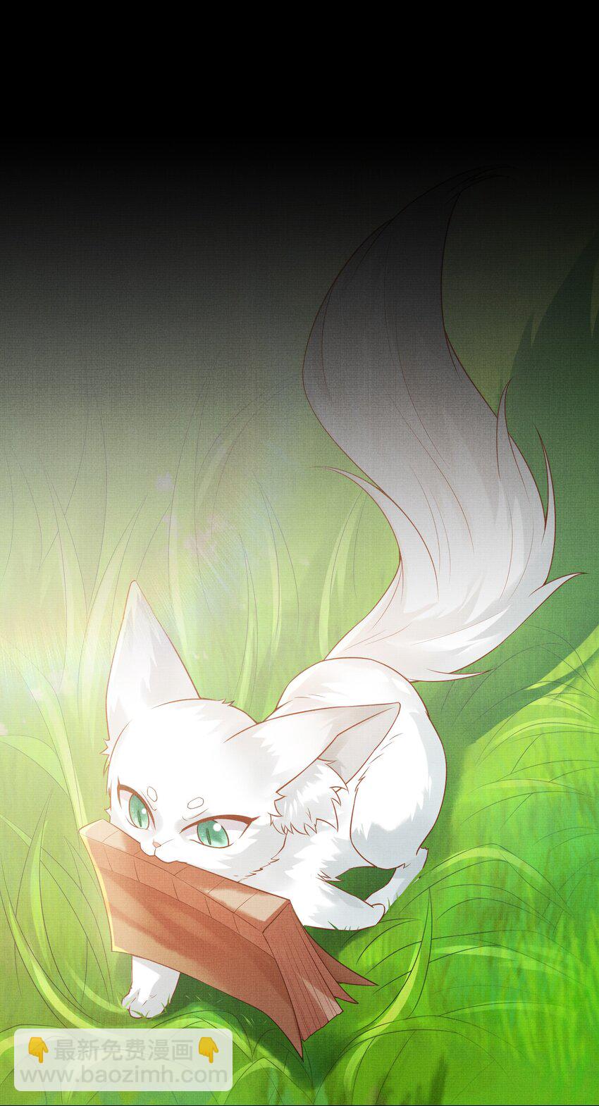 30 这是什么声音？(1/2)-第33话