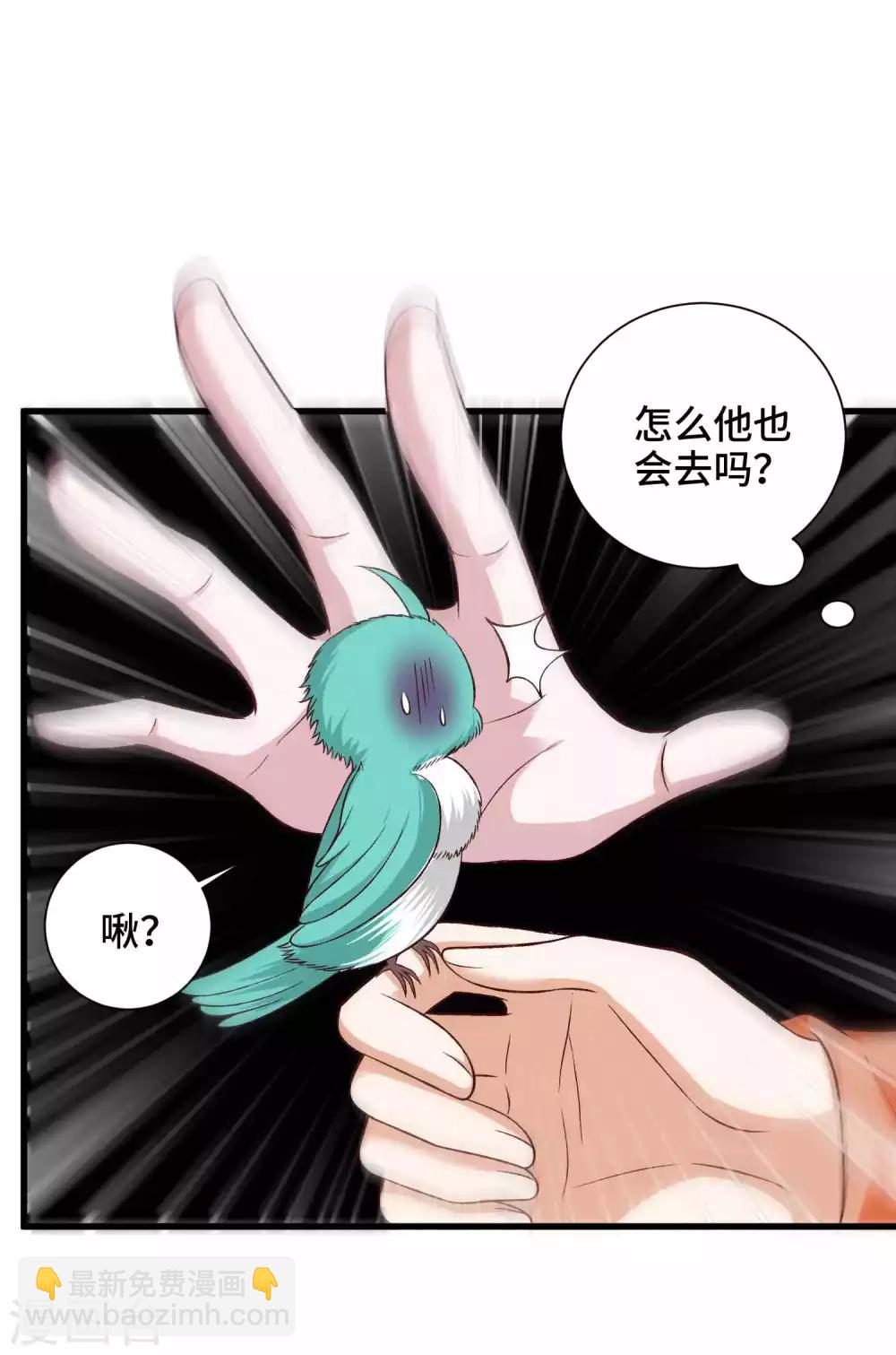 第40话 打不死的啾-第41话