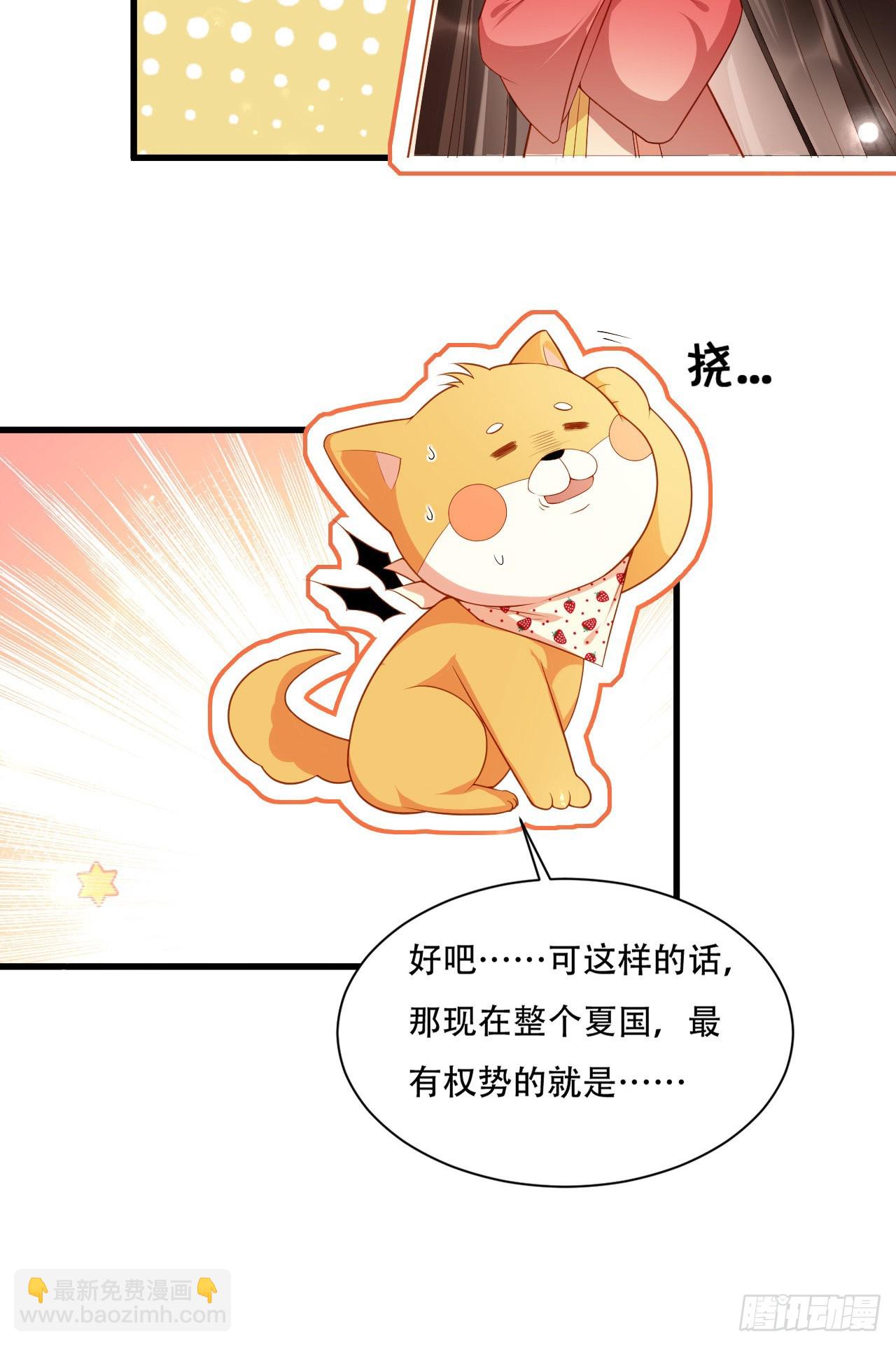 第4话  开始挑男人-第5话