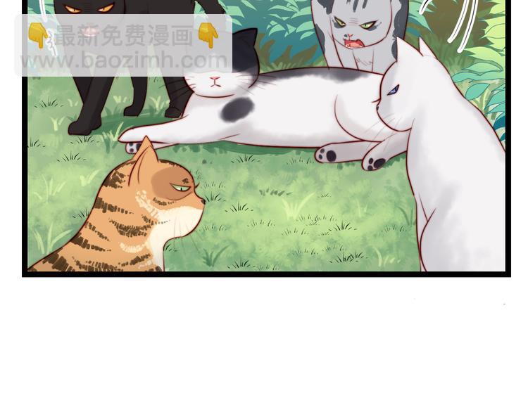 第8话 唱歌给你听(1/2)-第9话