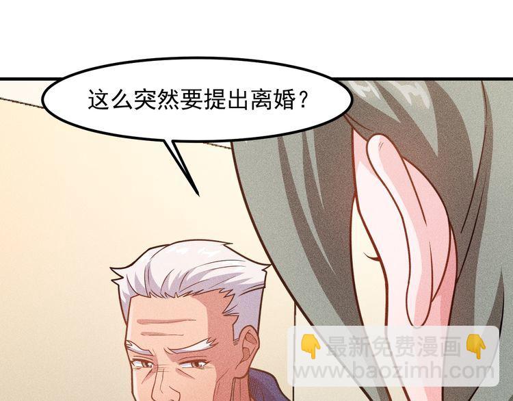 女總裁的貼身高手 - 第148話 我們離婚吧(1/2) - 8