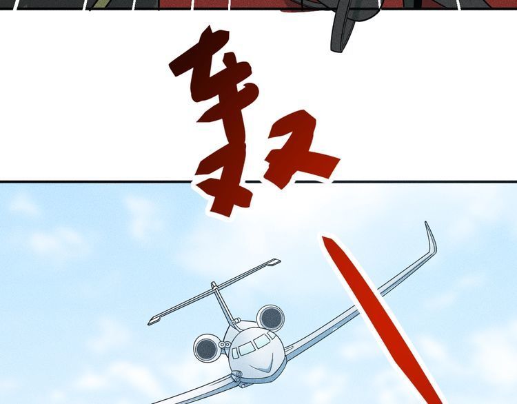 女總裁的貼身高手 - 第150話 飛機出事(2/2) - 3