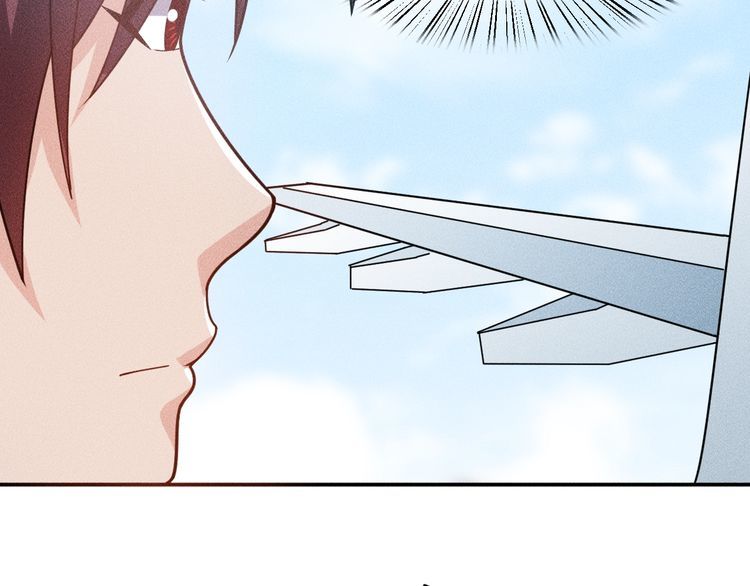 女總裁的貼身高手 - 第150話 飛機出事(2/2) - 4