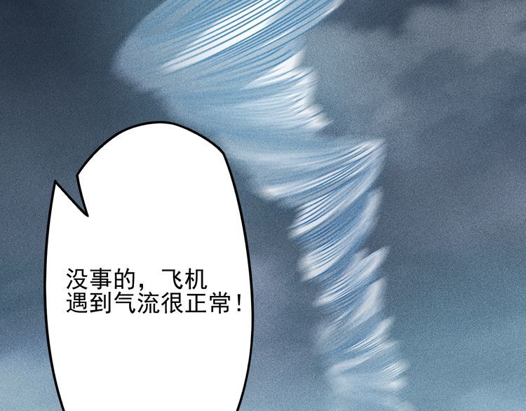 女總裁的貼身高手 - 第150話 飛機出事(2/2) - 2