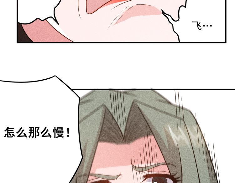 女總裁的貼身高手 - 第150話 飛機出事(2/2) - 5