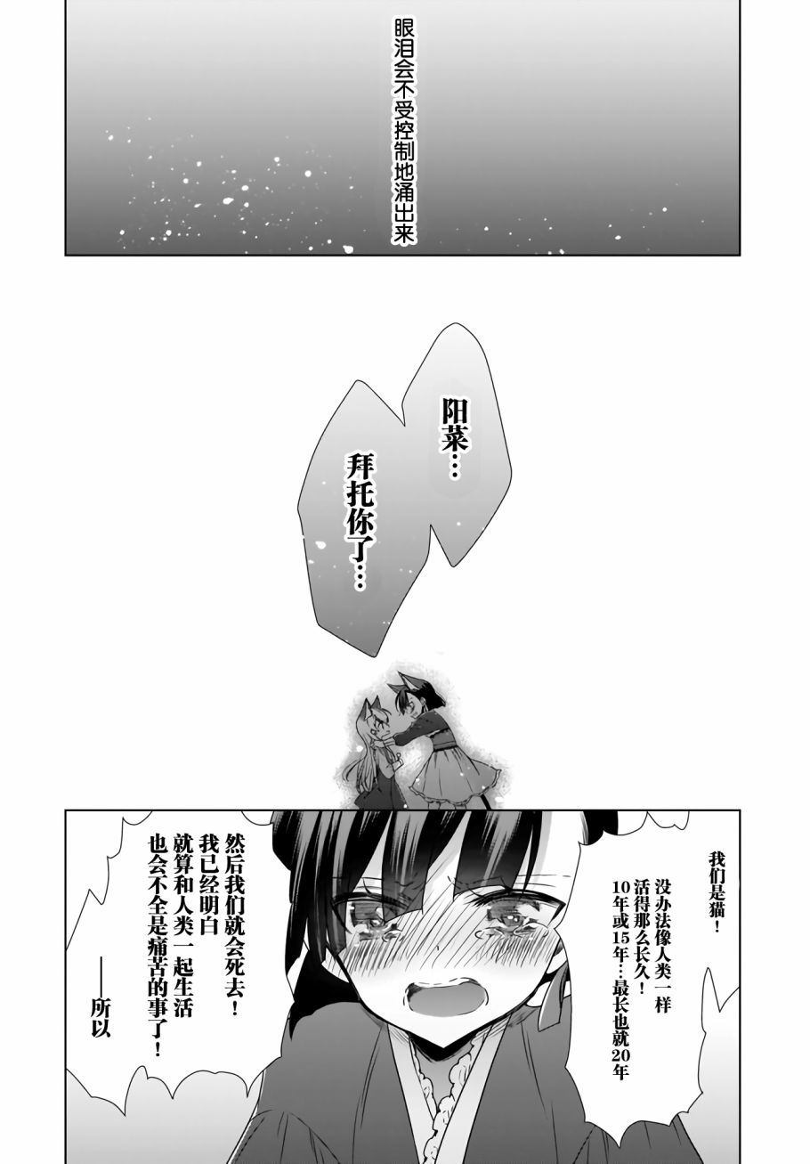 OL小姐與貓的故事 - 9話 - 1