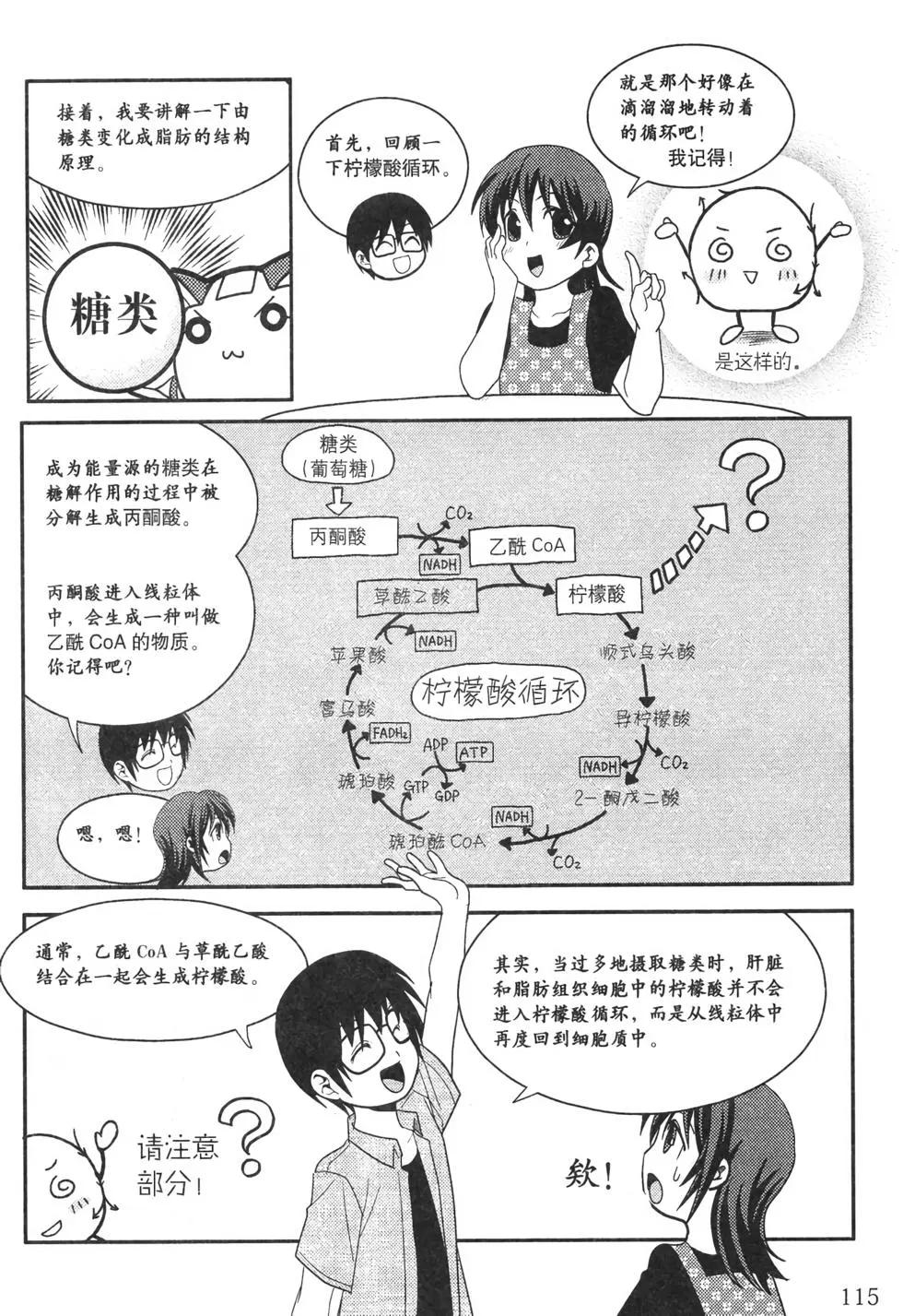 欧姆社学习漫画 - 生物化学(3/6) - 3