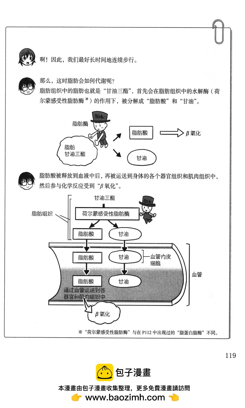 欧姆社学习漫画 - 生物化学(3/6) - 7