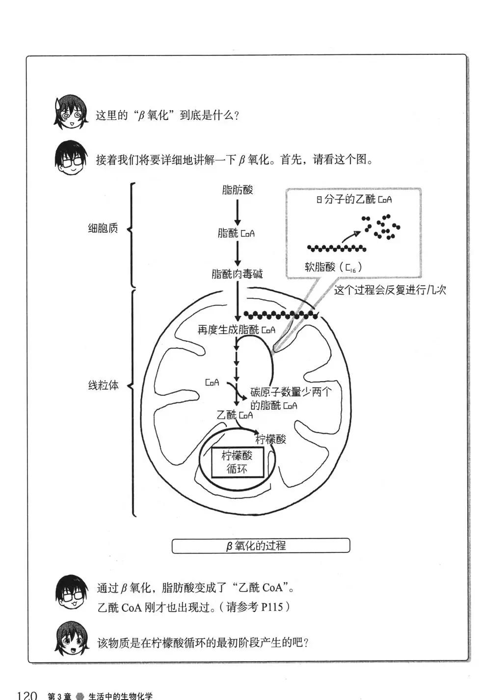 欧姆社学习漫画 - 生物化学(3/6) - 8