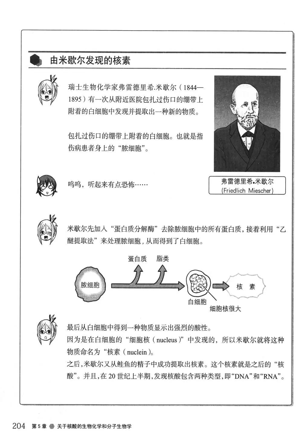 欧姆社学习漫画 - 生物化学(5/6) - 6