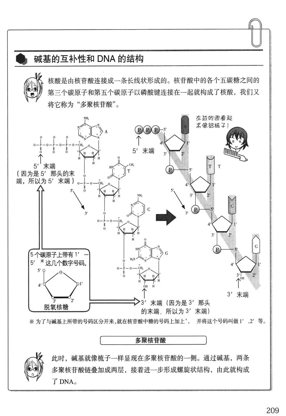 欧姆社学习漫画 - 生物化学(5/6) - 3