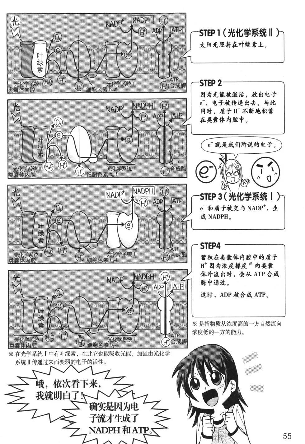 欧姆社学习漫画 - 生物化学(2/6) - 1