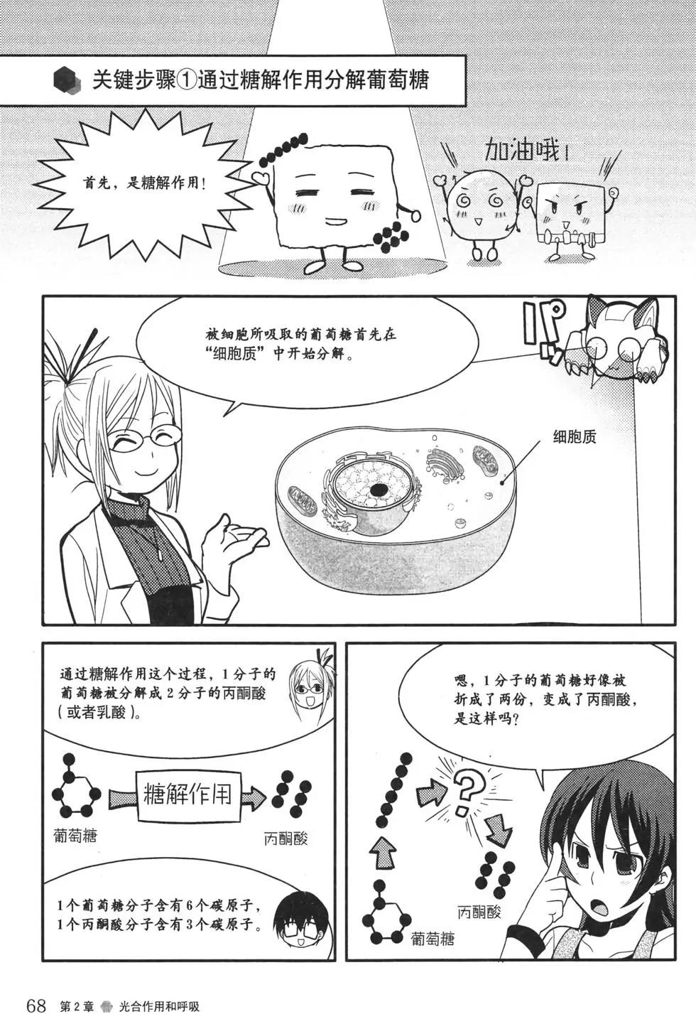 欧姆社学习漫画 - 生物化学(2/6) - 6