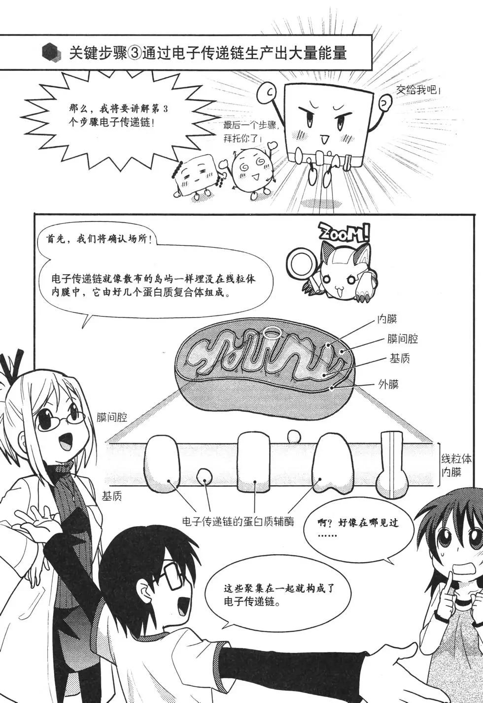 欧姆社学习漫画 - 生物化学(2/6) - 4