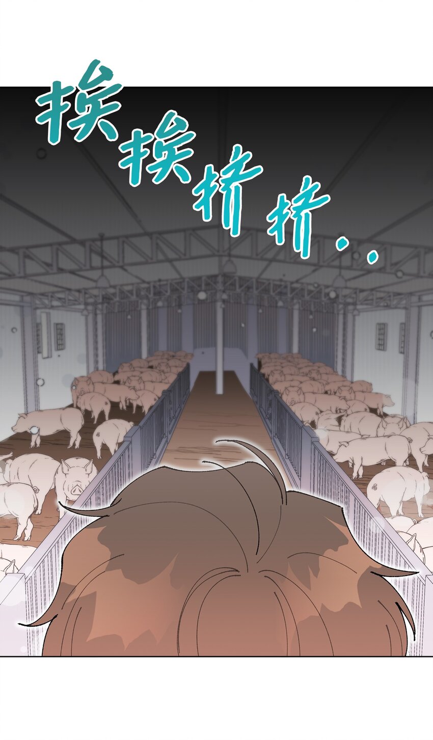 05 怎么给猪打疫苗啊？(1/2)-第5话