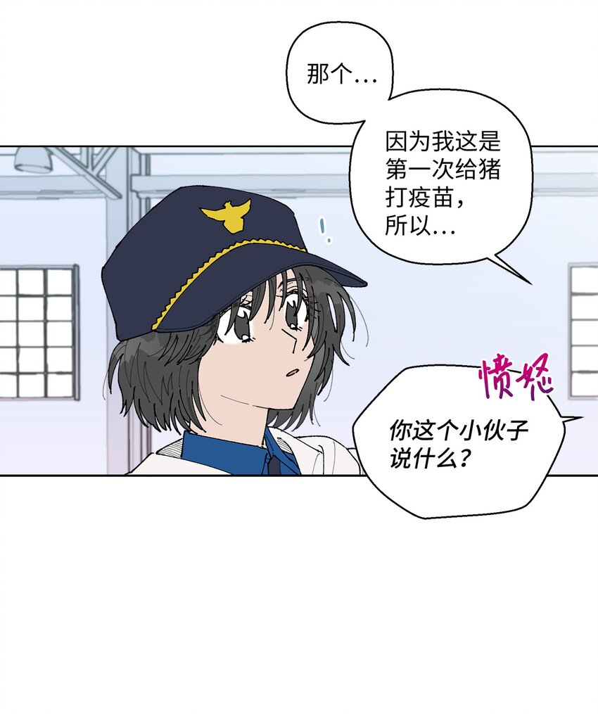 05 怎么给猪打疫苗啊？(1/2)-第5话