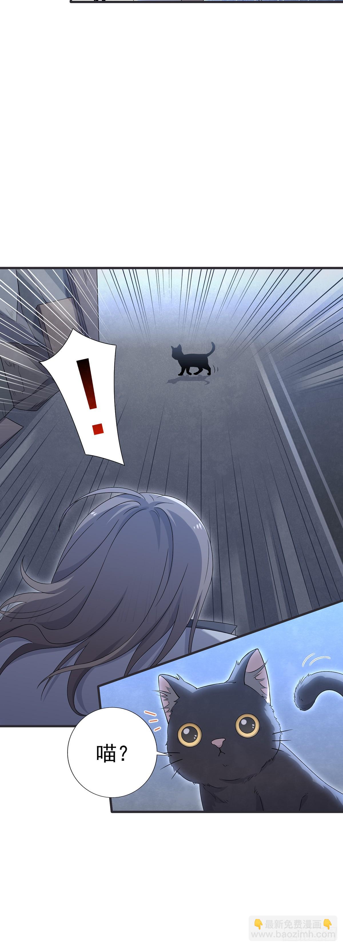 第37话  肖梓，杀了她！-第41话