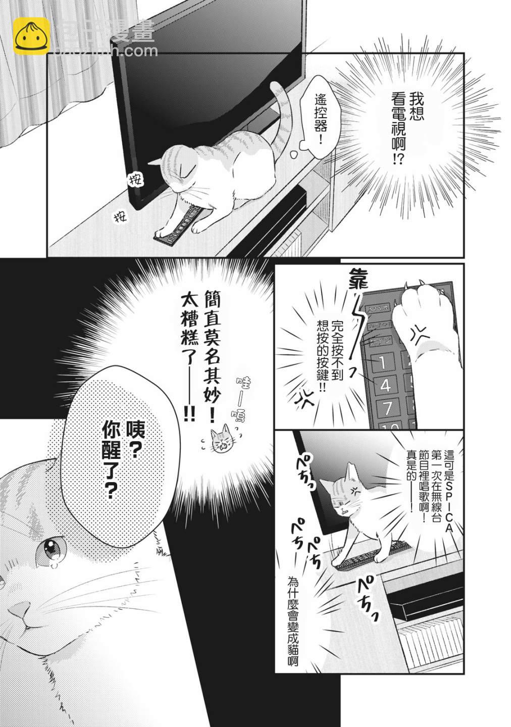 偶像貓貓~變成貓貓被偶像養起來了 - 第01話 - 2