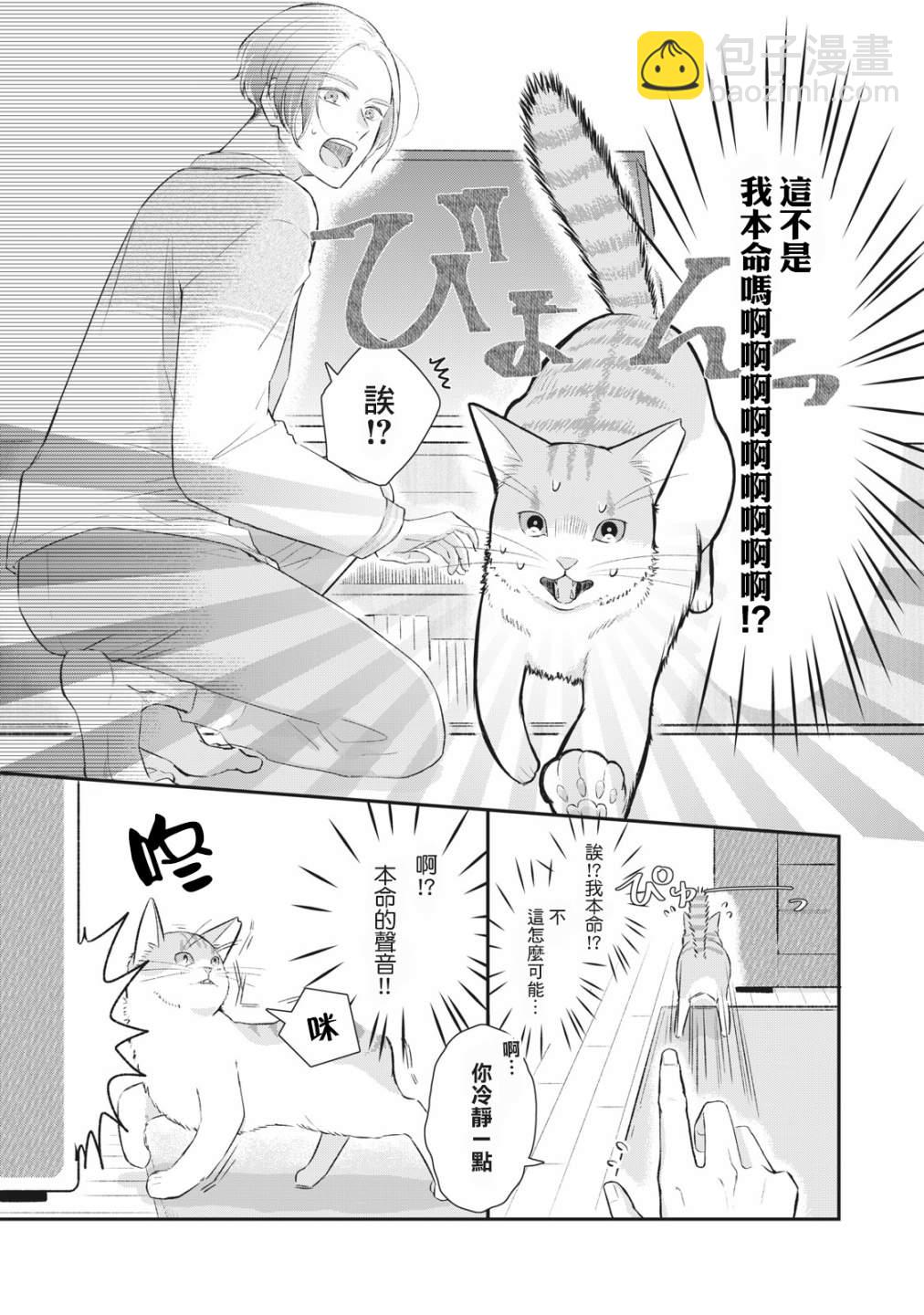 偶像貓貓~變成貓貓被偶像養起來了 - 第01話 - 4