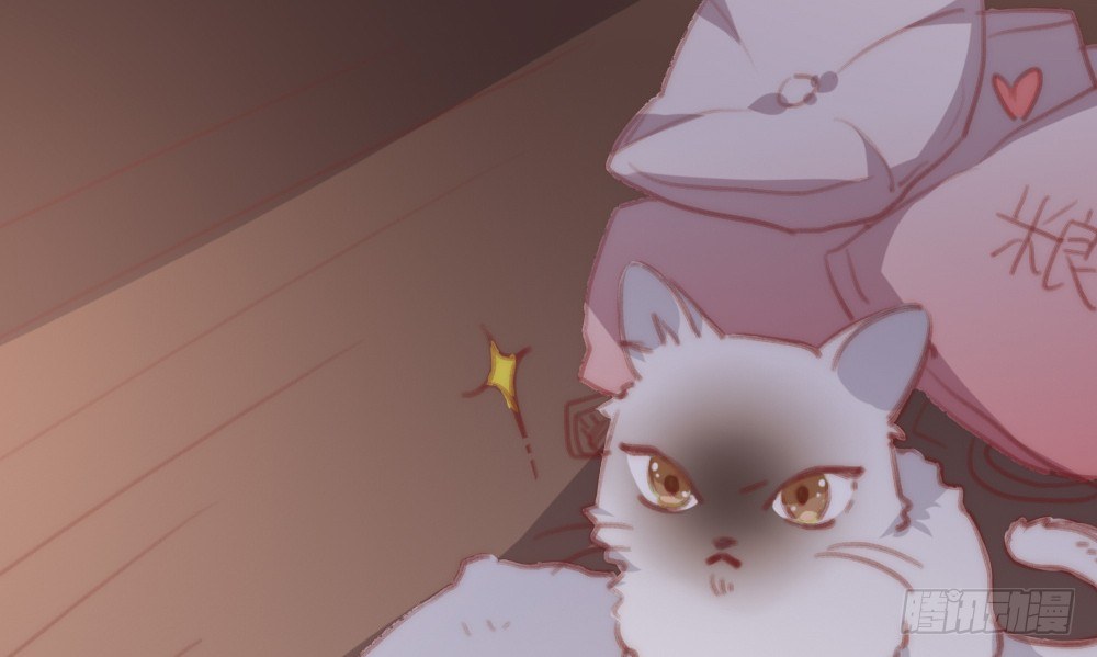 【番外】当男朋友变成宠物（二）(1/2)-第71话