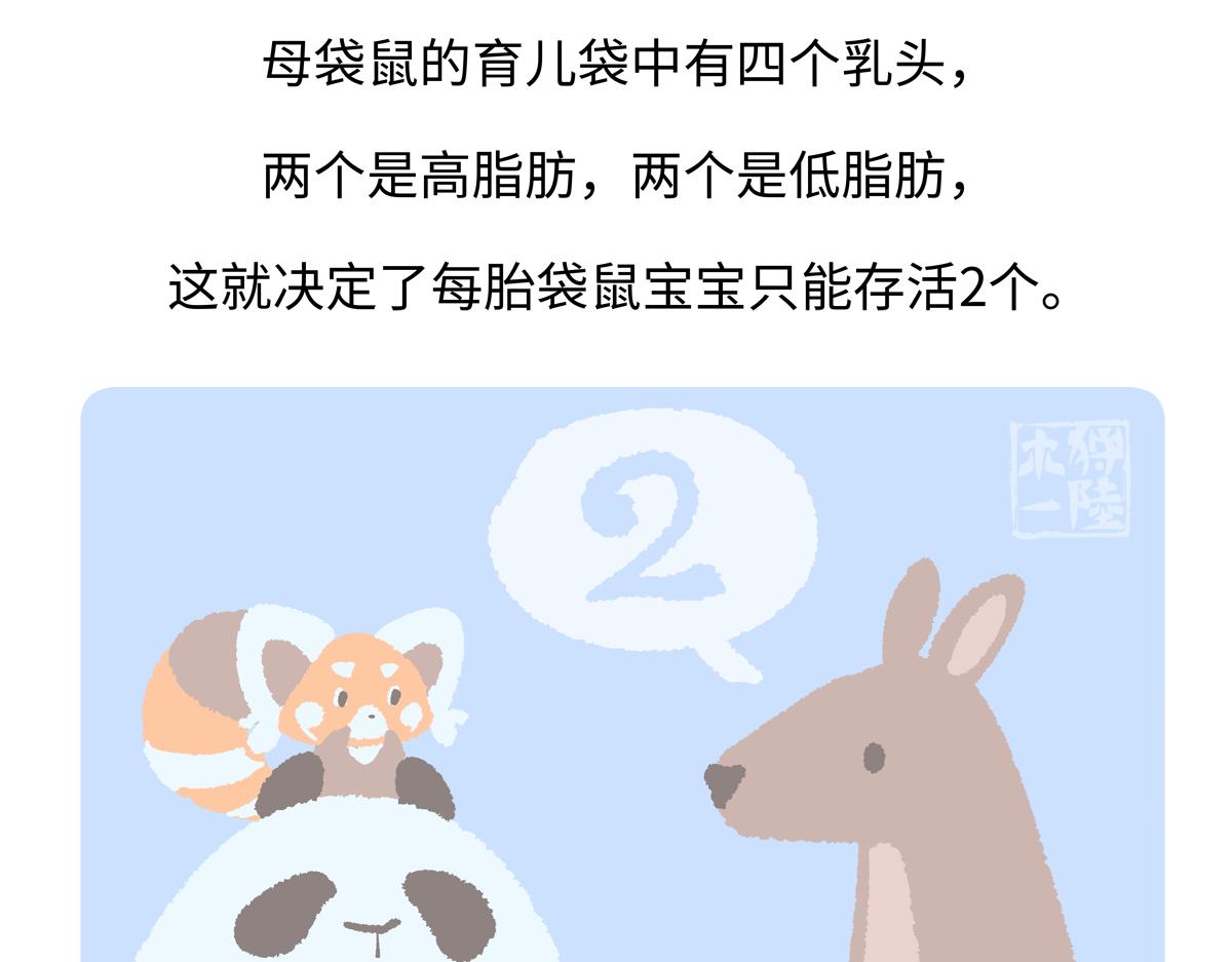 胖達x胖達 - 第228話 - 5
