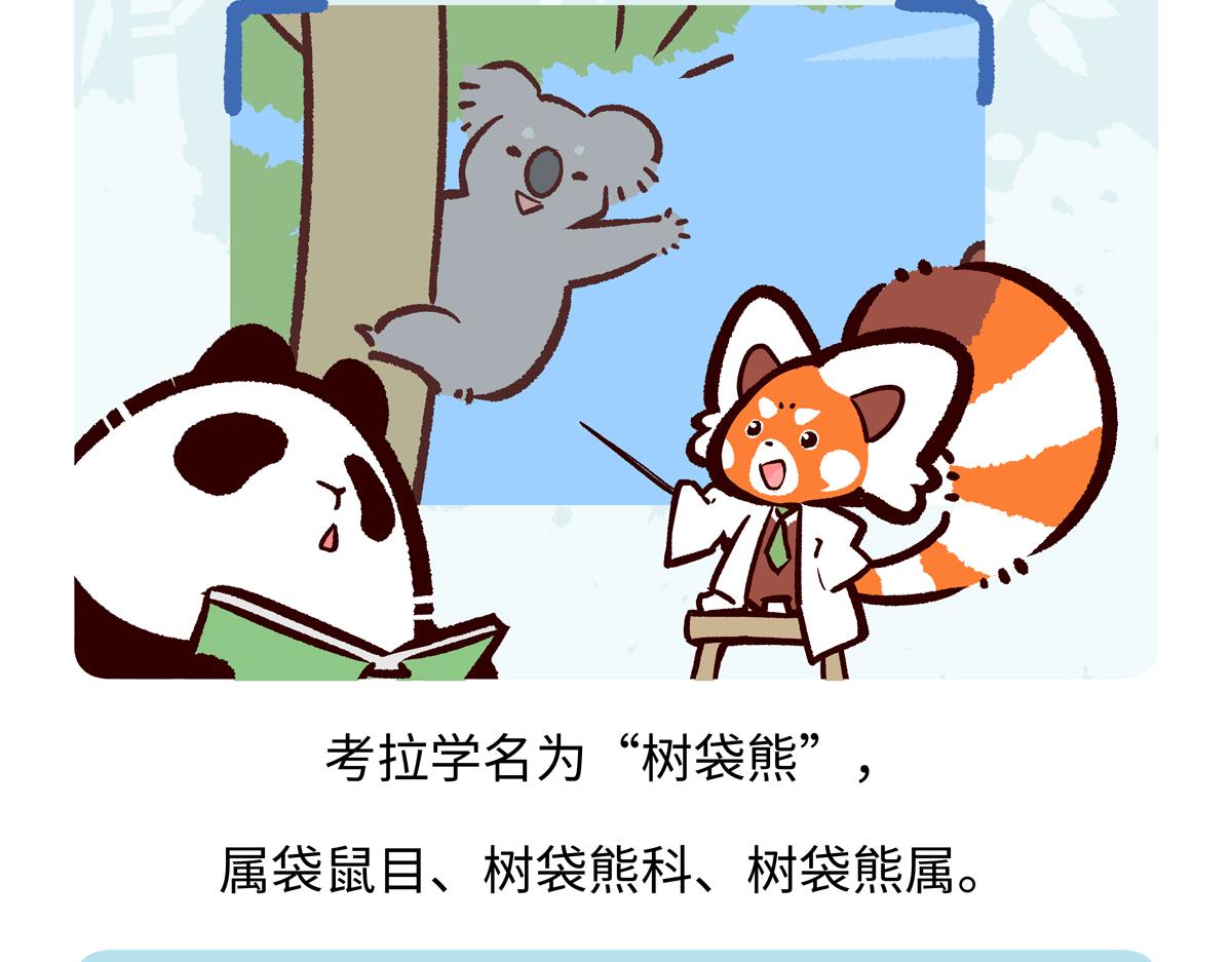 胖達x胖達 - 第236話 - 6