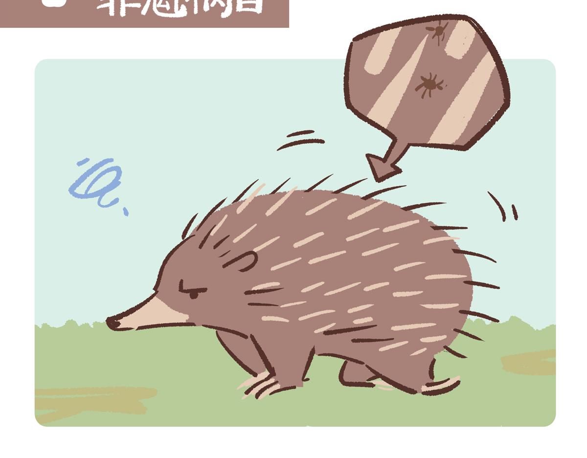 胖達x胖達 - 第256話 - 2