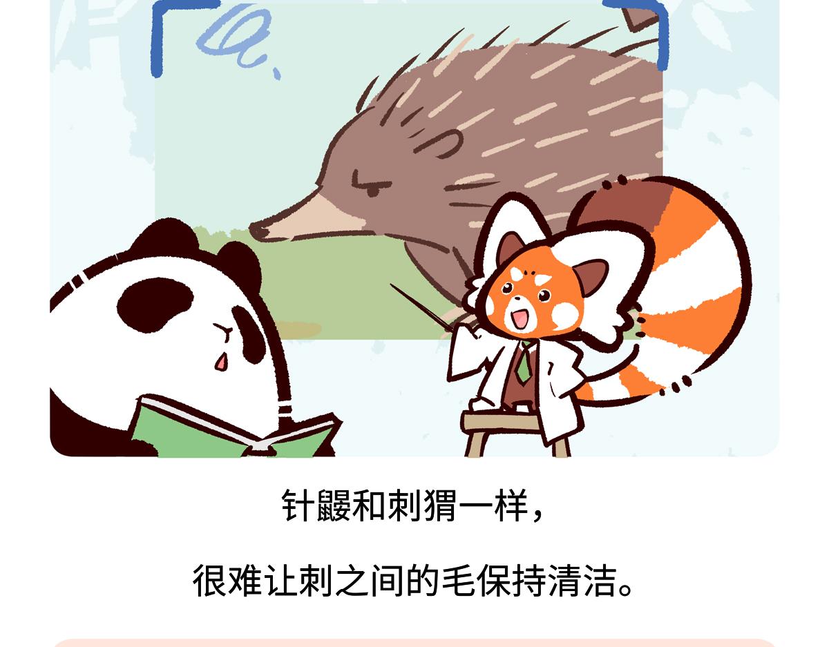 胖達x胖達 - 第256話 - 2