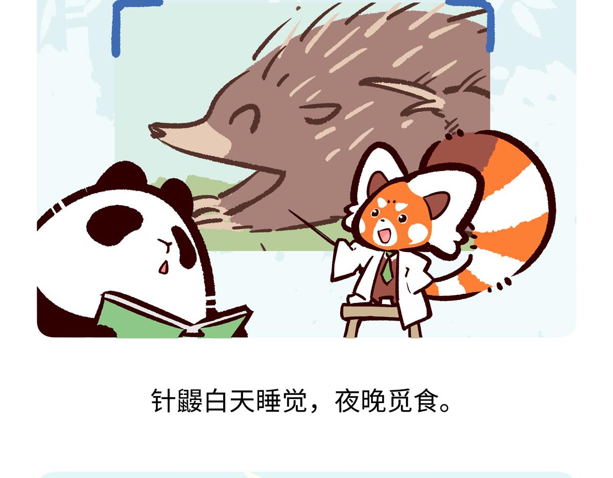 胖達x胖達 - 第256話 - 3