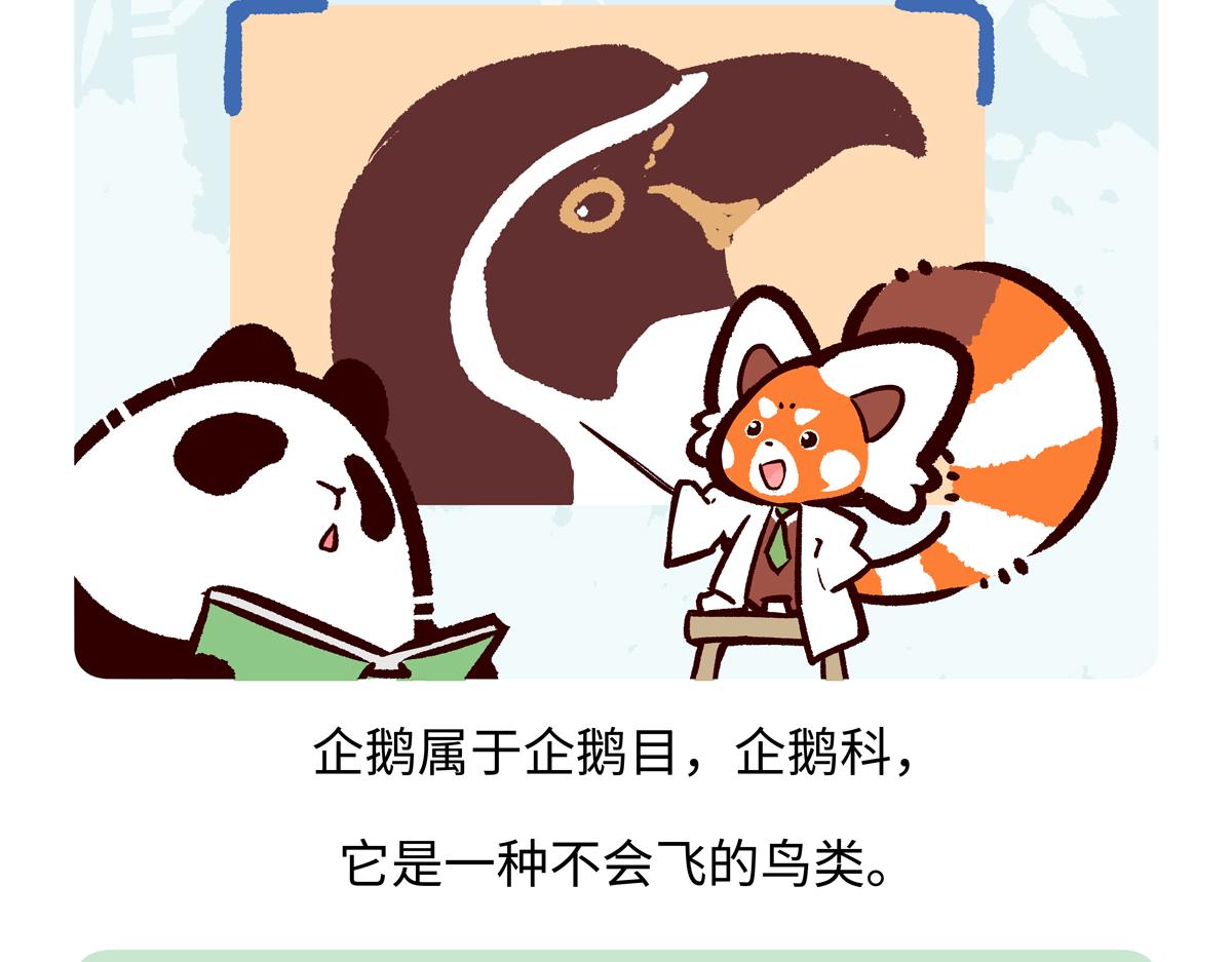 胖達x胖達 - 第270話 - 1