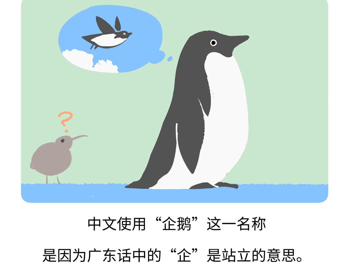 胖達x胖達 - 第270話 - 2