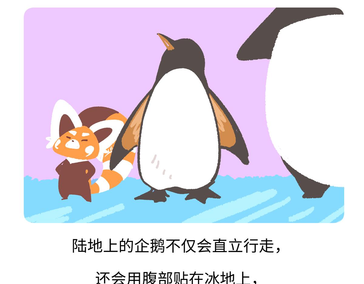 胖達x胖達 - 第270話 - 3
