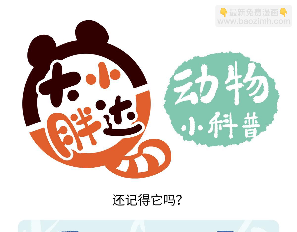 胖達x胖達 - 第270話 - 6