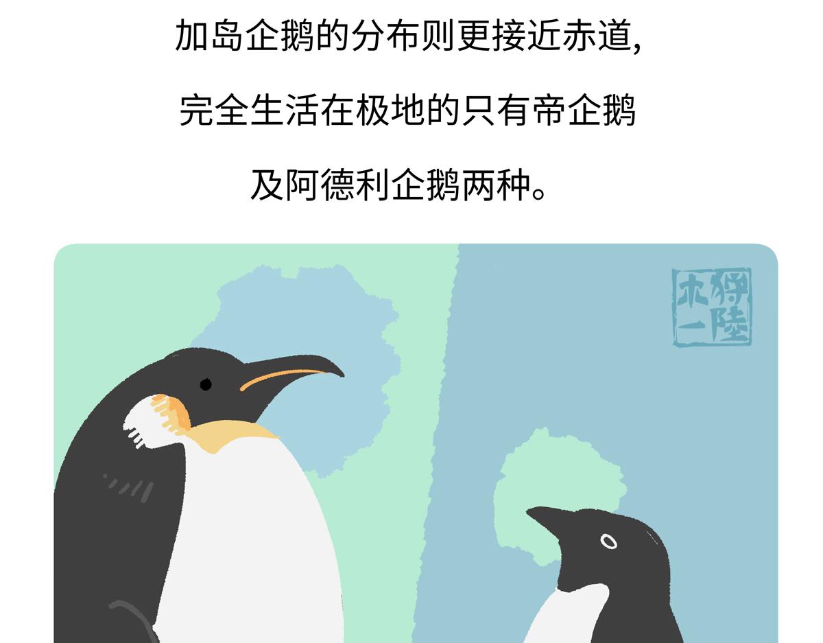 胖達x胖達 - 第270話 - 4