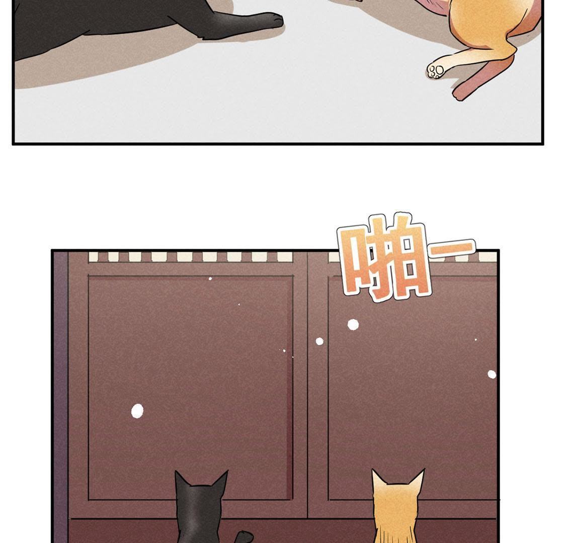 第27话 欲盖弥彰(1/2)-第29话