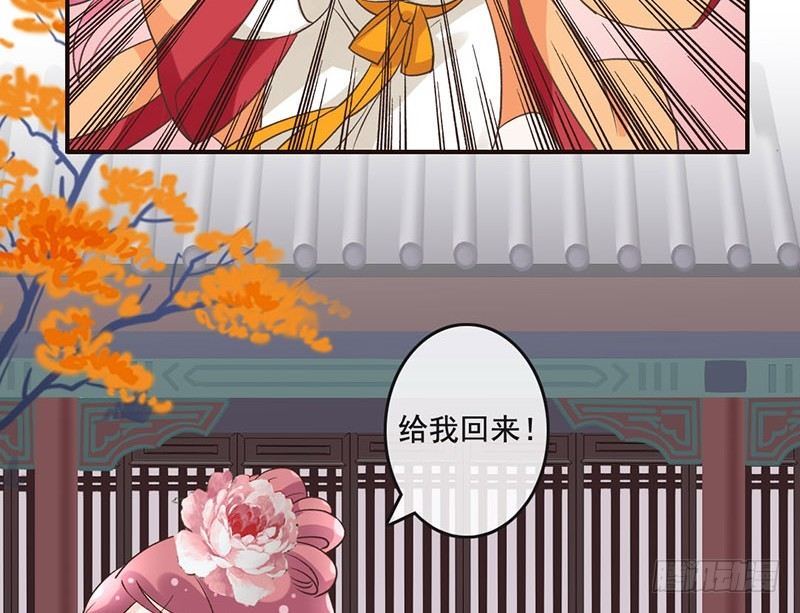 第45话 狸猫的日常（2）(1/2)-第47话