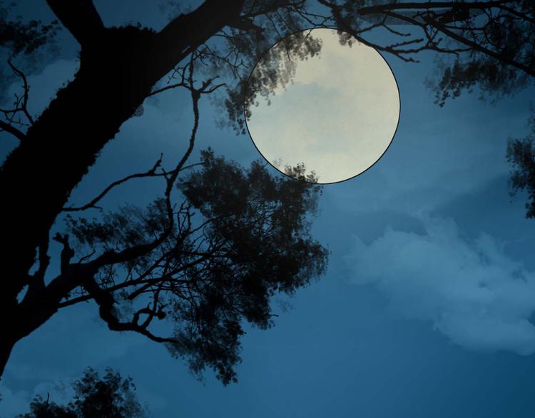 第2话（下）双方对峙(1/3)-第5话