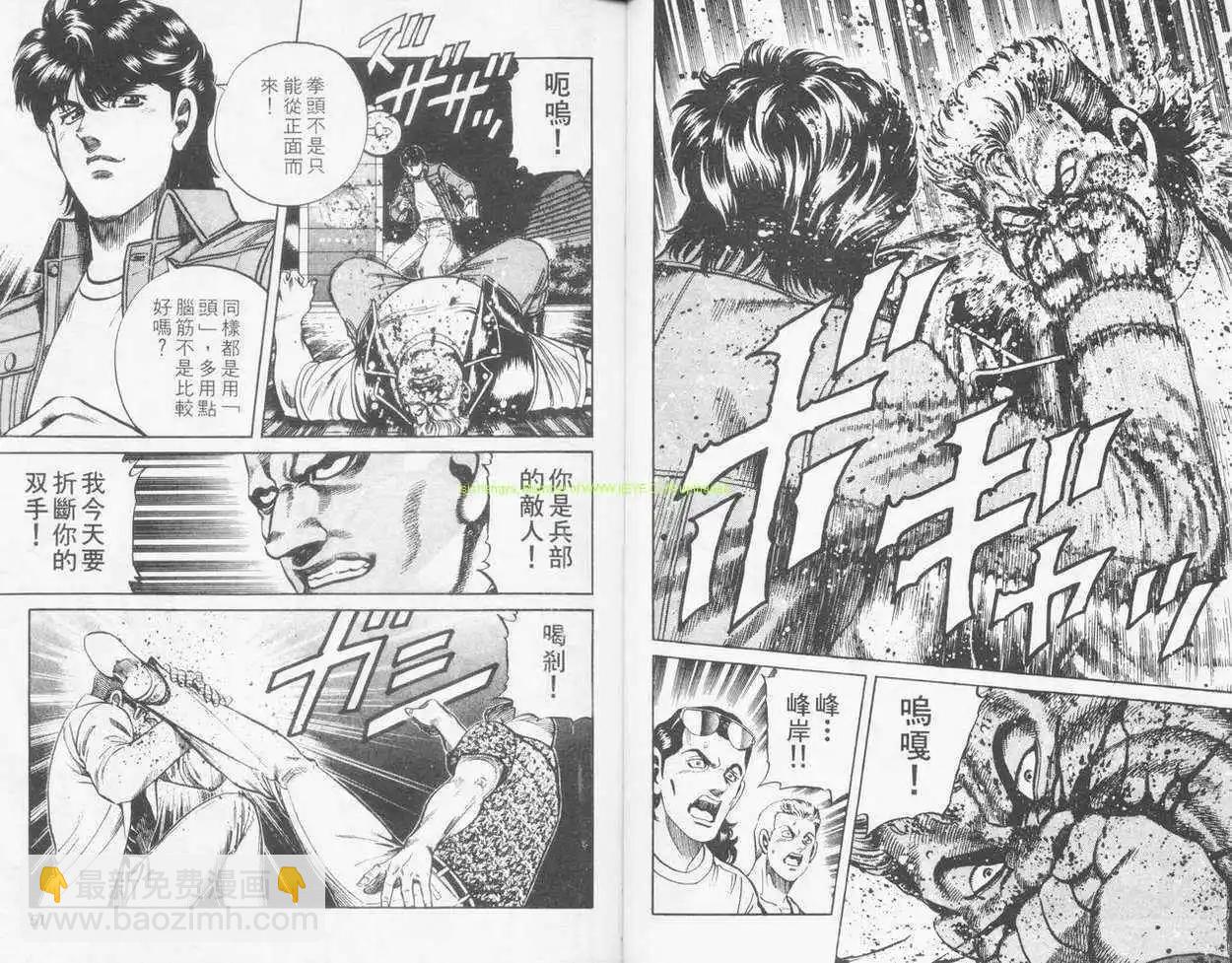 霹靂雙星 - 第13卷(1/3) - 8
