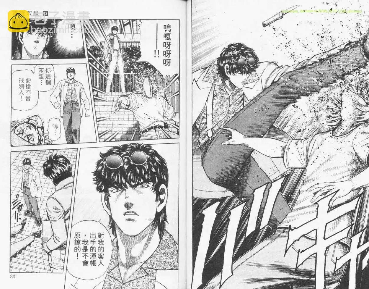 霹靂雙星 - 第13卷(1/3) - 3