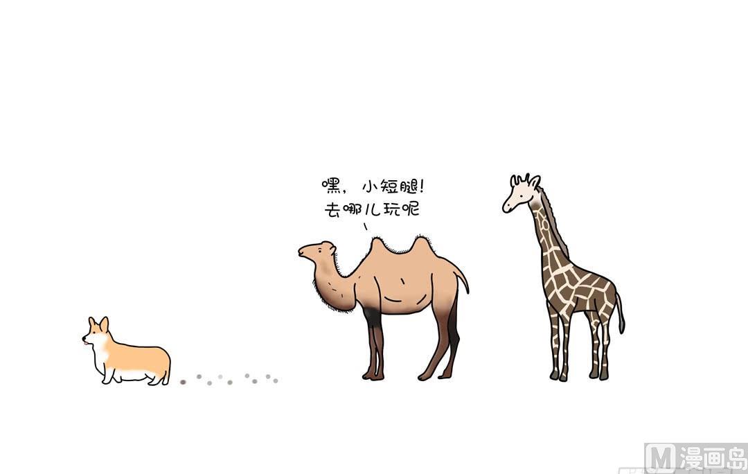 柯基的反击-第105话