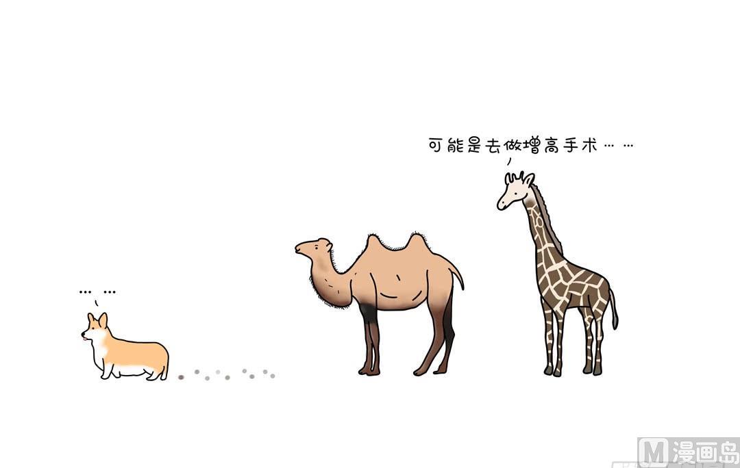 柯基的反击-第105话