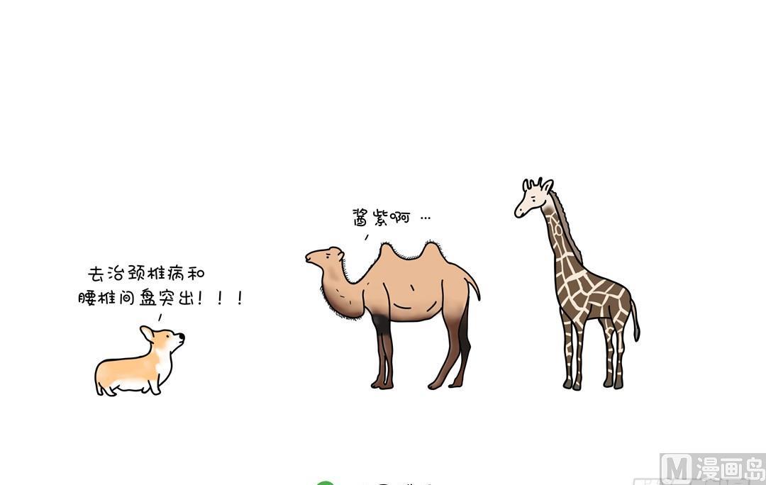 柯基的反击-第105话