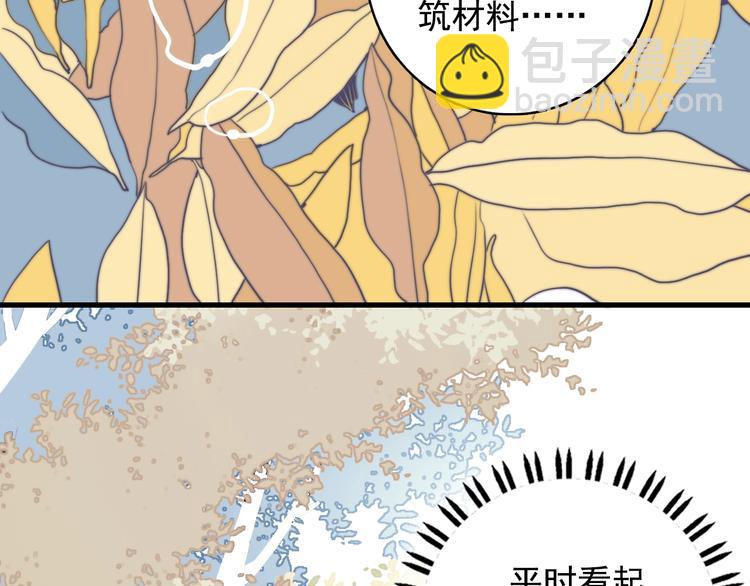 第33话 有味道的爱情(1/3)-第35话