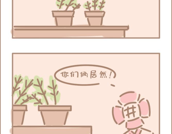 花男单身久了-第25话