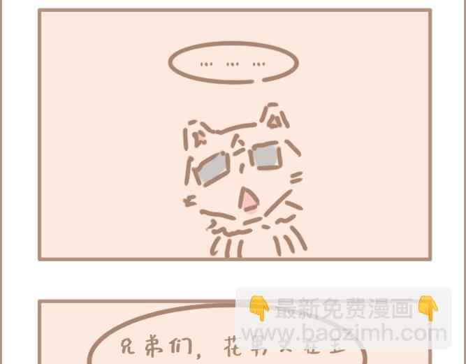 花男单身久了-第25话